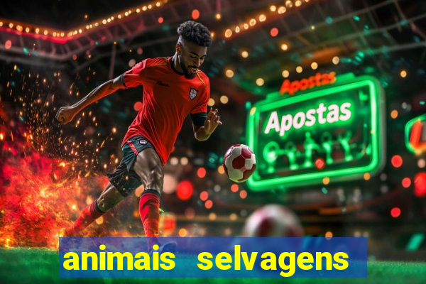 animais selvagens fotos e nomes